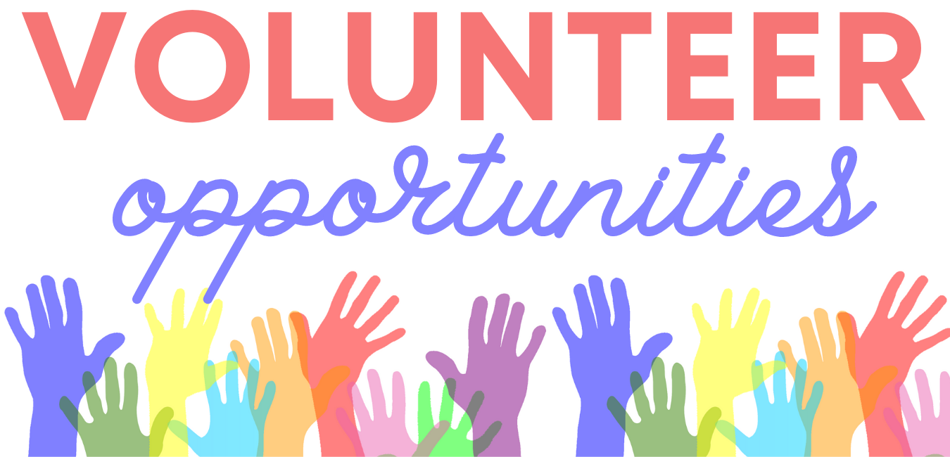 Copy of Volunteer